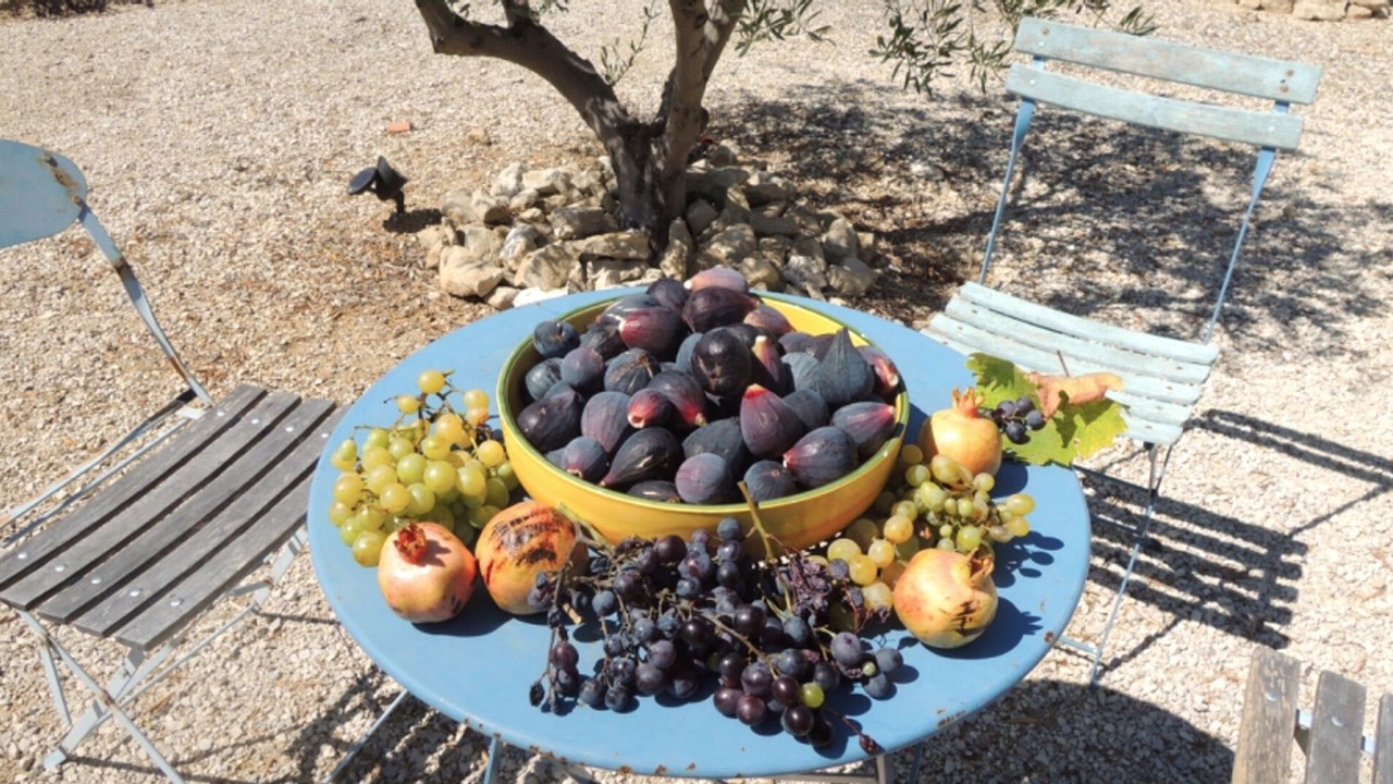 Photo of Others in Saumane-de-Vaucluse