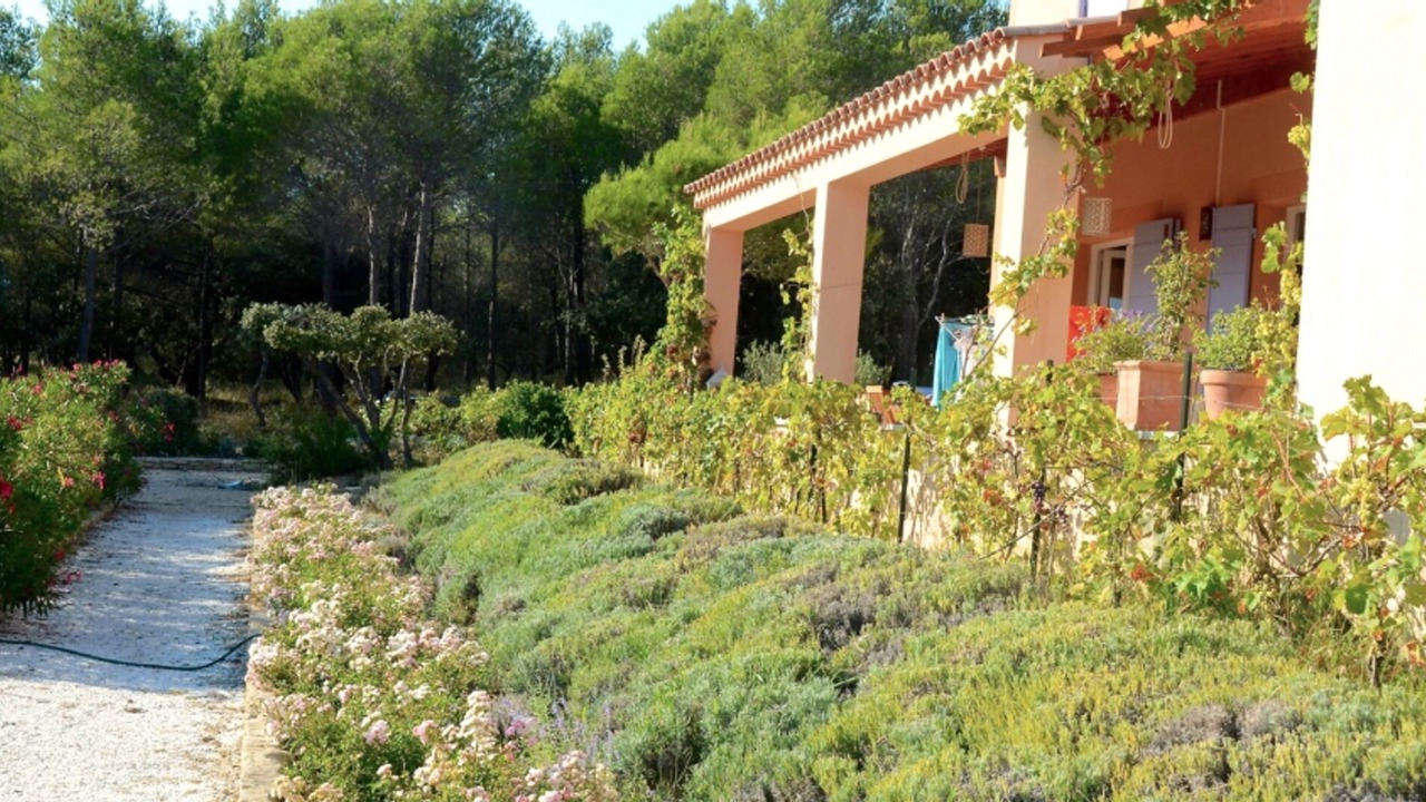Photo of Outdoor in Saumane-de-Vaucluse