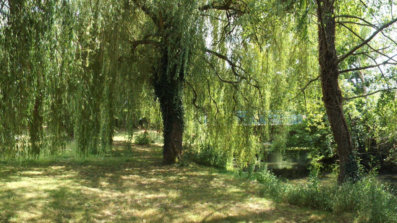 Photo of Outdoor in Vouleme