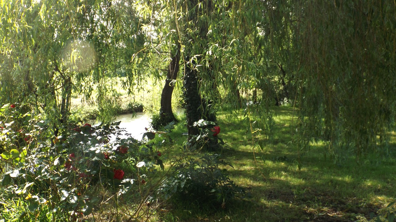 Photo of Outdoor in Vouleme