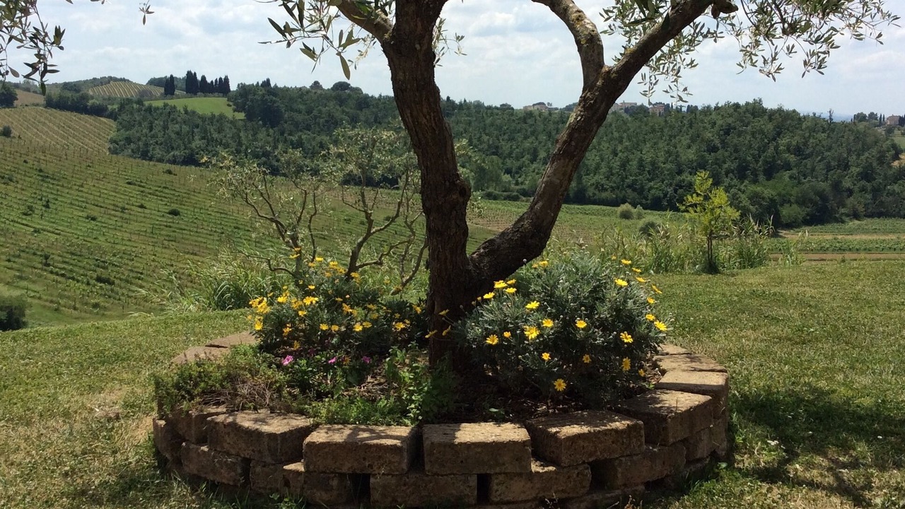 Photo of Outdoor in Stabbia