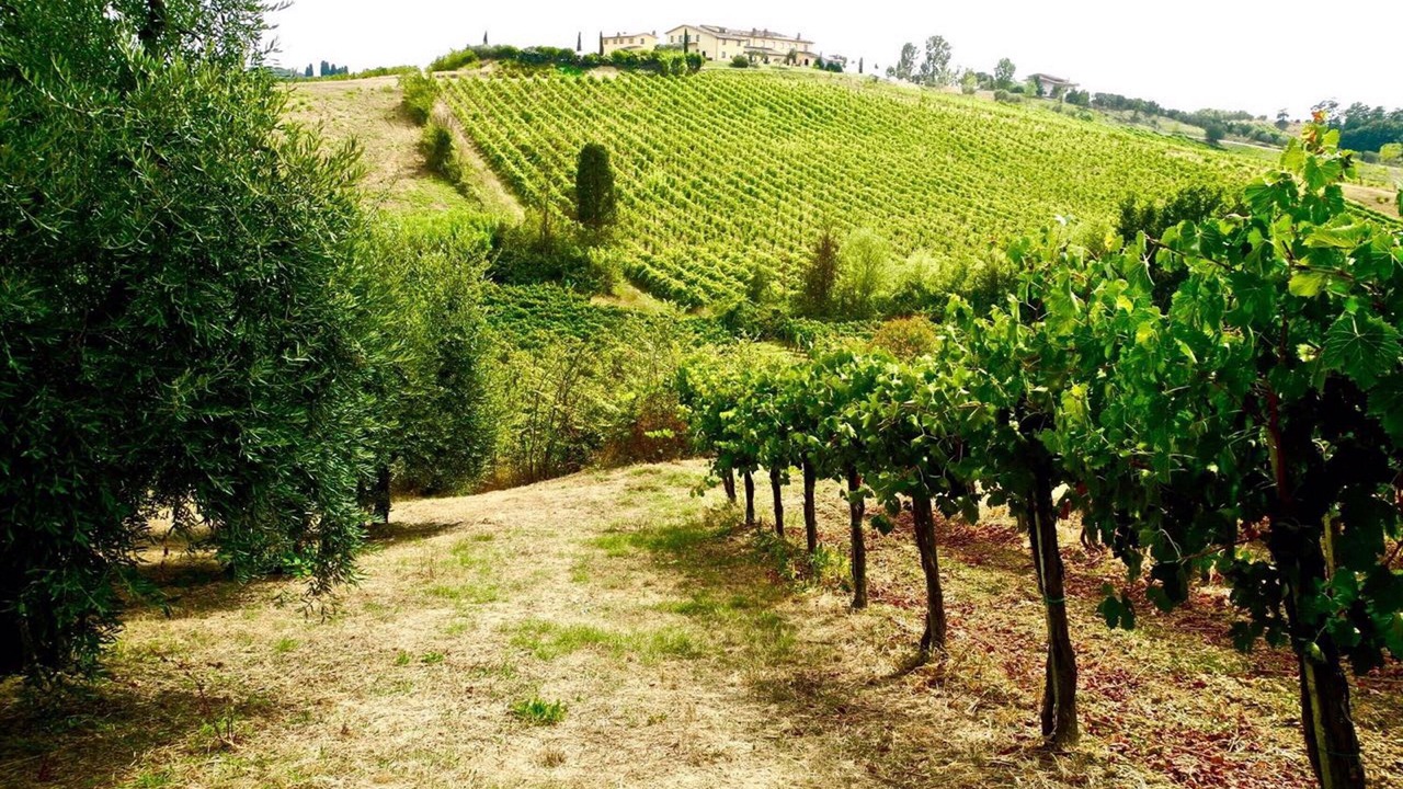 Photo of Outdoor in Stabbia