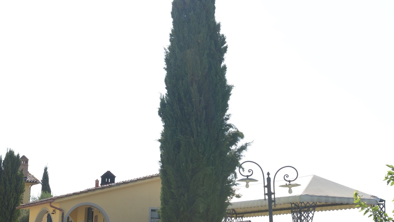 Photo of Outdoor in Stabbia
