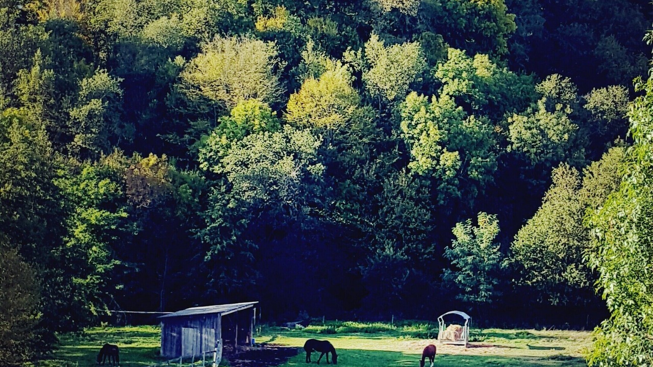 Photo of Others in Persac