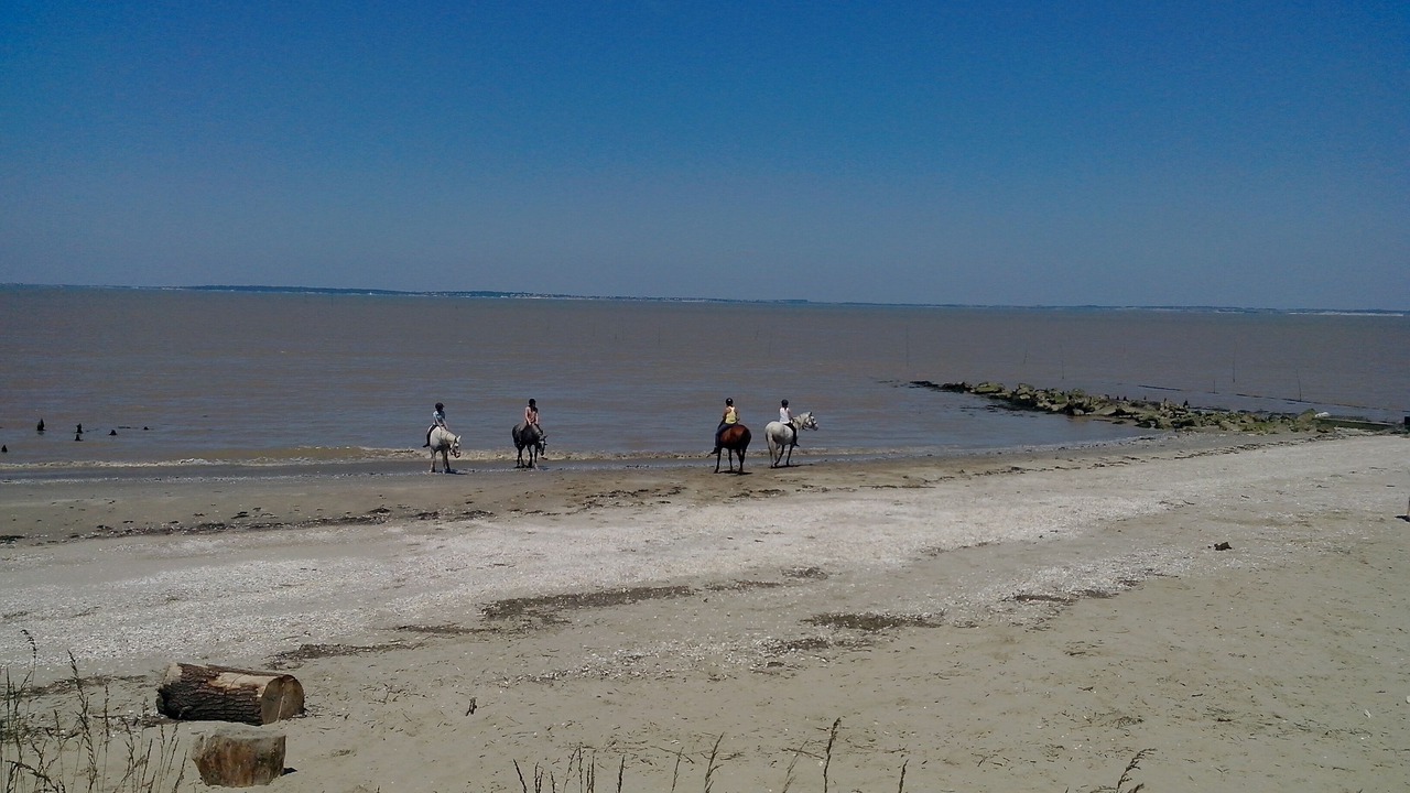 Photo of Others in Saint-Vivien-de-Medoc