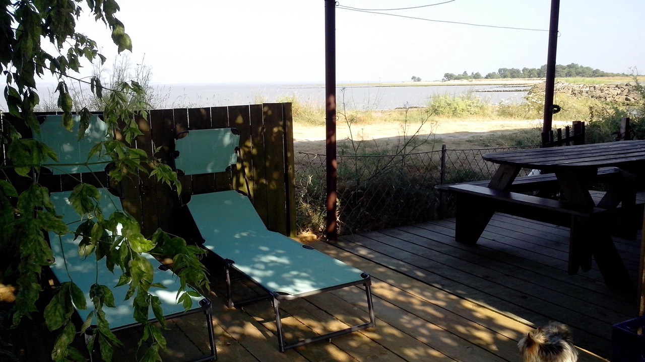 Photo of Outdoor in Saint-Vivien-de-Medoc
