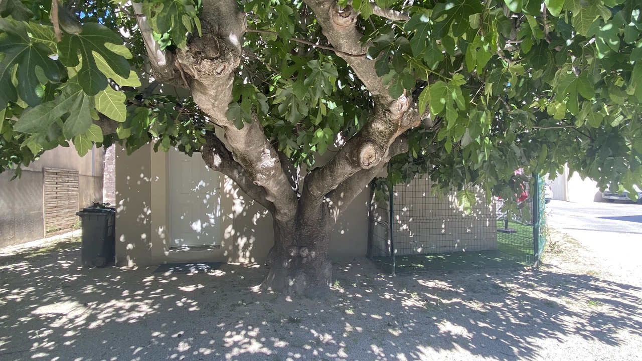 Photo of Outdoor in Beaumes-de-Venise