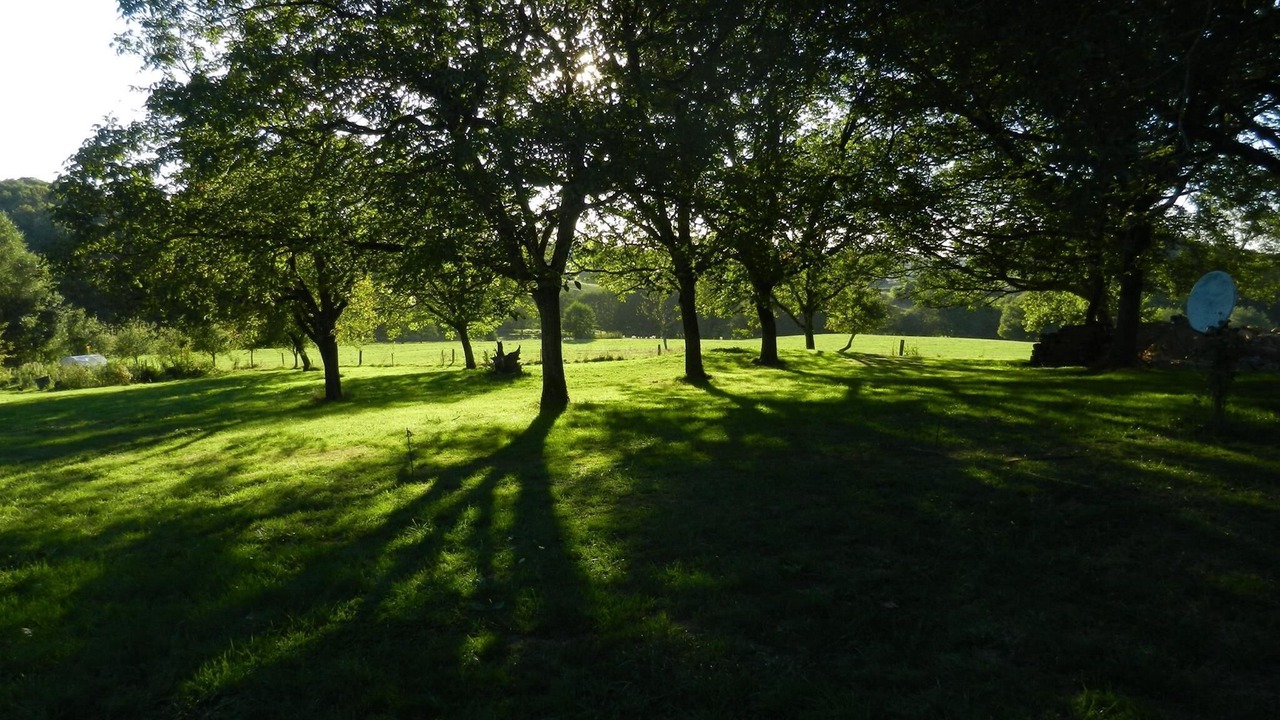 Photo of Outdoor in Saint-Germain-les-Vergnes