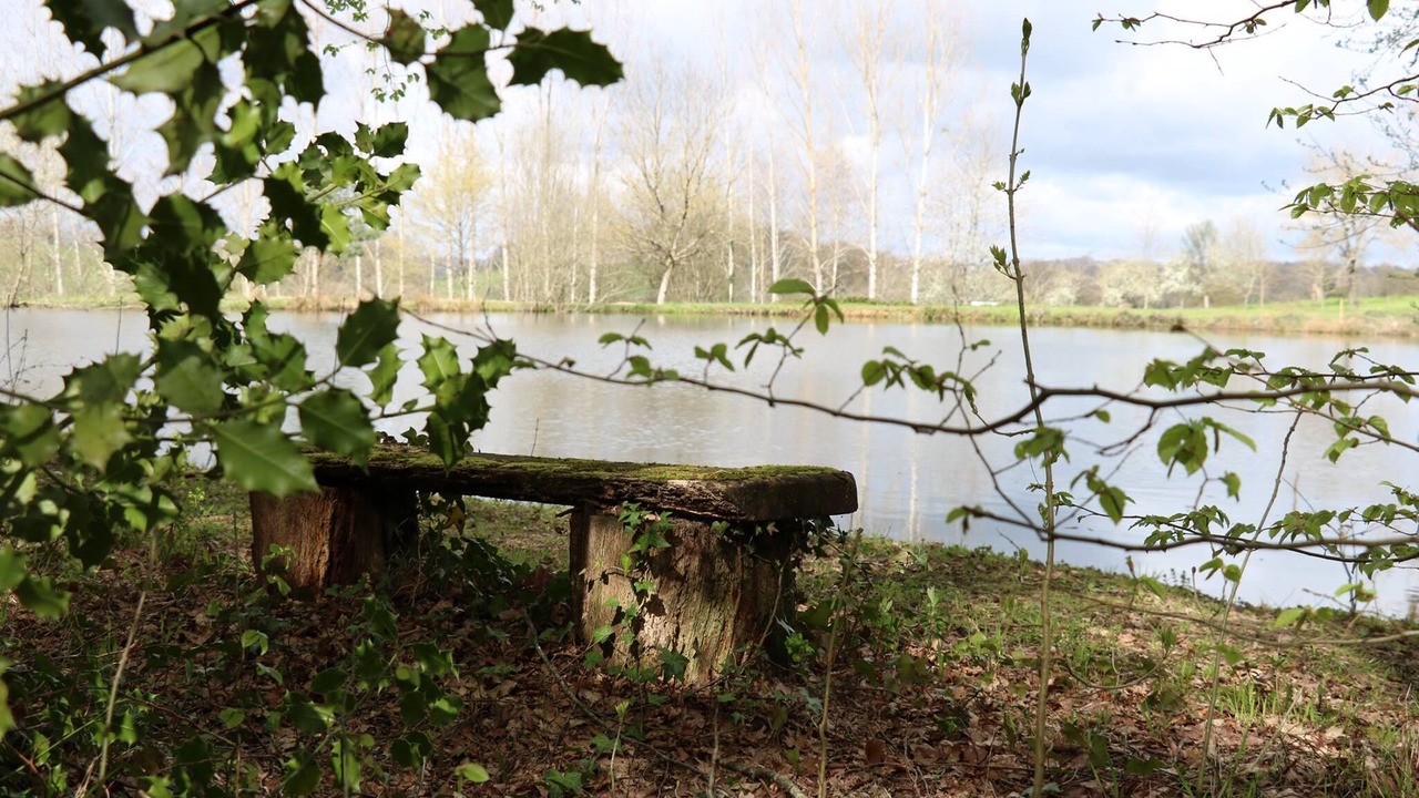 Photo of Outdoor in Saint-Germain-les-Vergnes