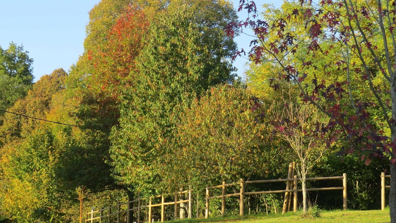 Photo of Outdoor in Saint-Germain-les-Vergnes