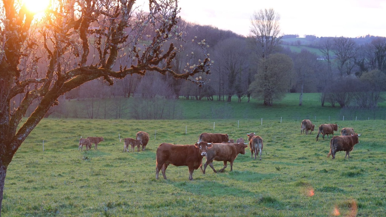 Photo of Outdoor in Saint-Germain-les-Vergnes