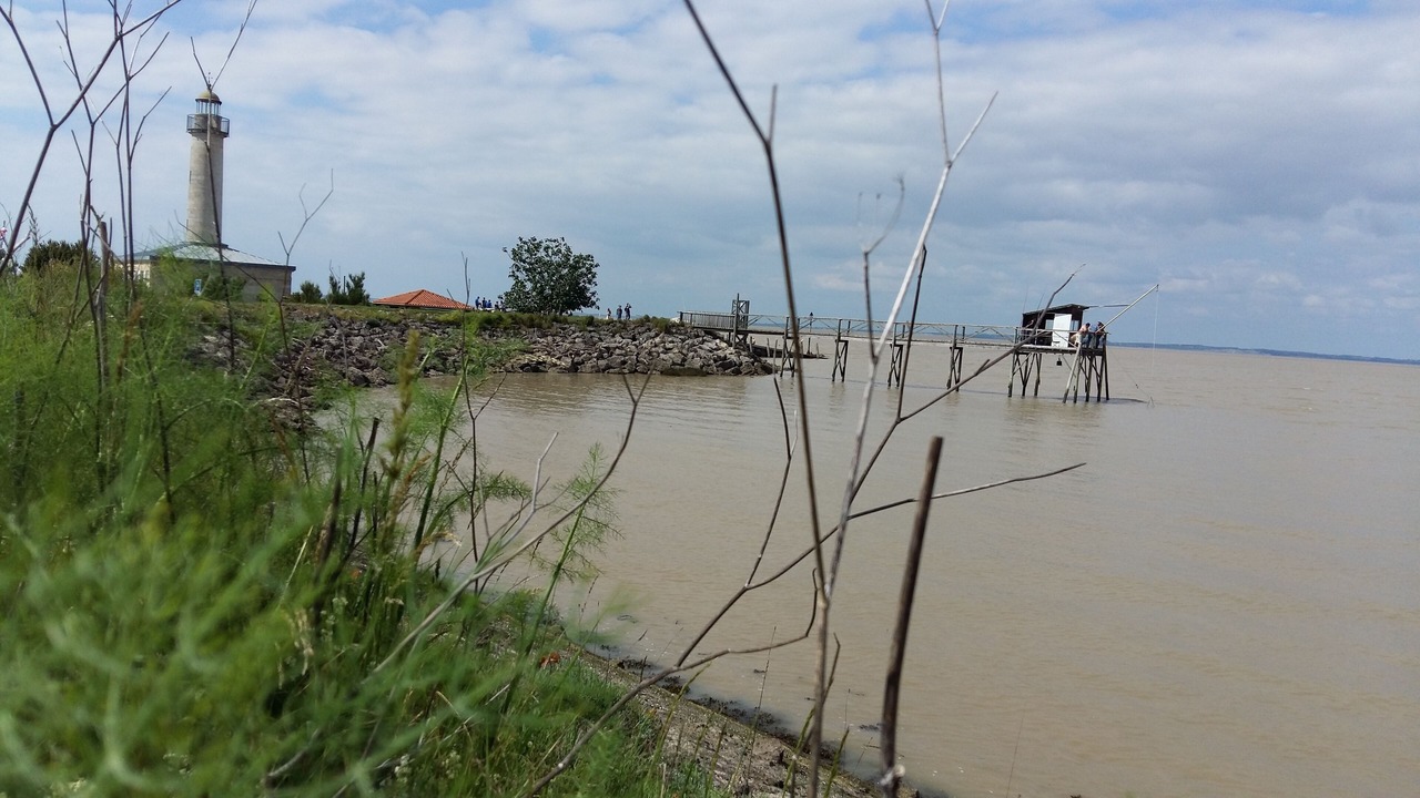 Photo of Others in Jau-Dignac-et-Loirac