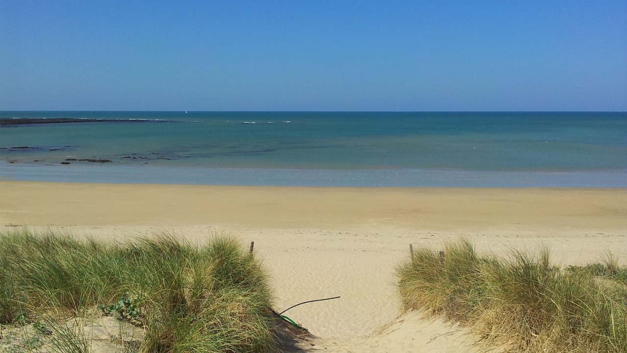 Photo of Others in Saint-Georges-d'Oleron