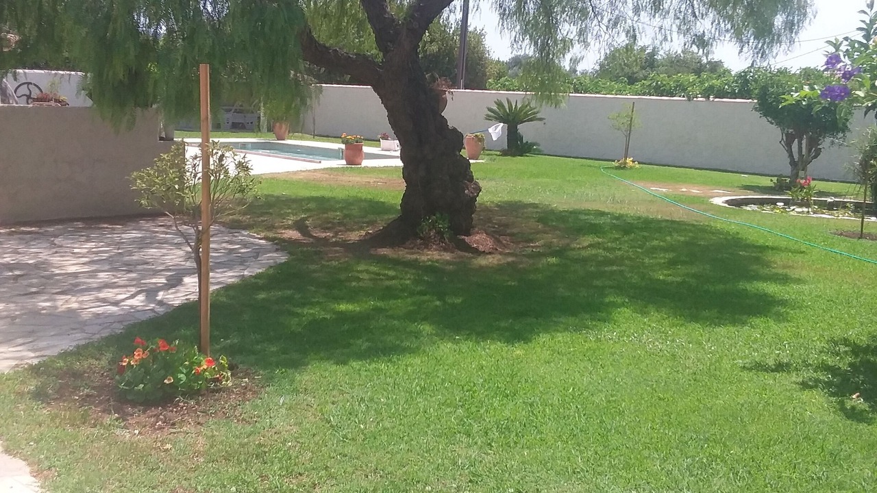 Photo of Outdoor in La Farlede