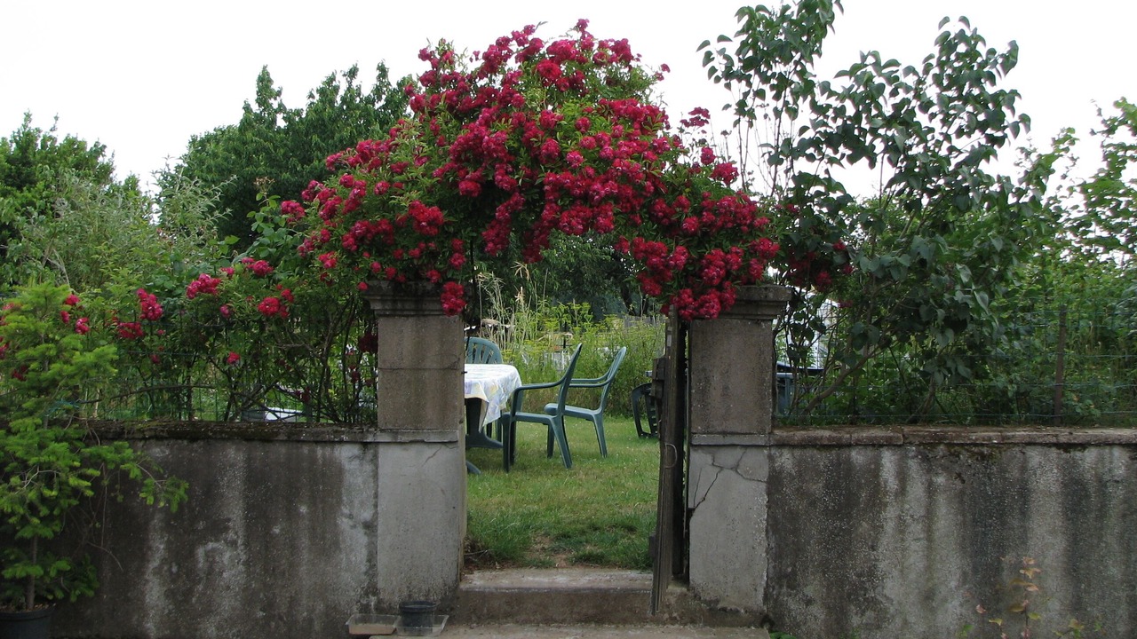 Photo of Outdoor in Pressignac