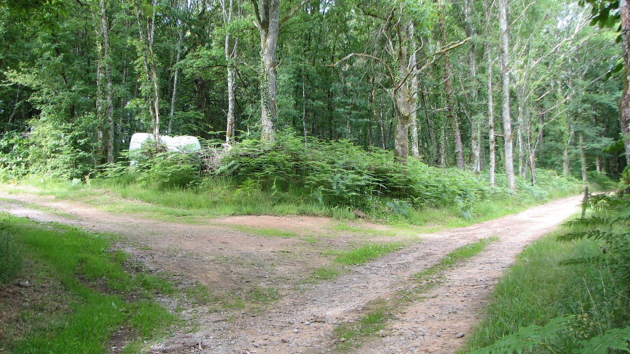 Photo of Outdoor in Pressignac
