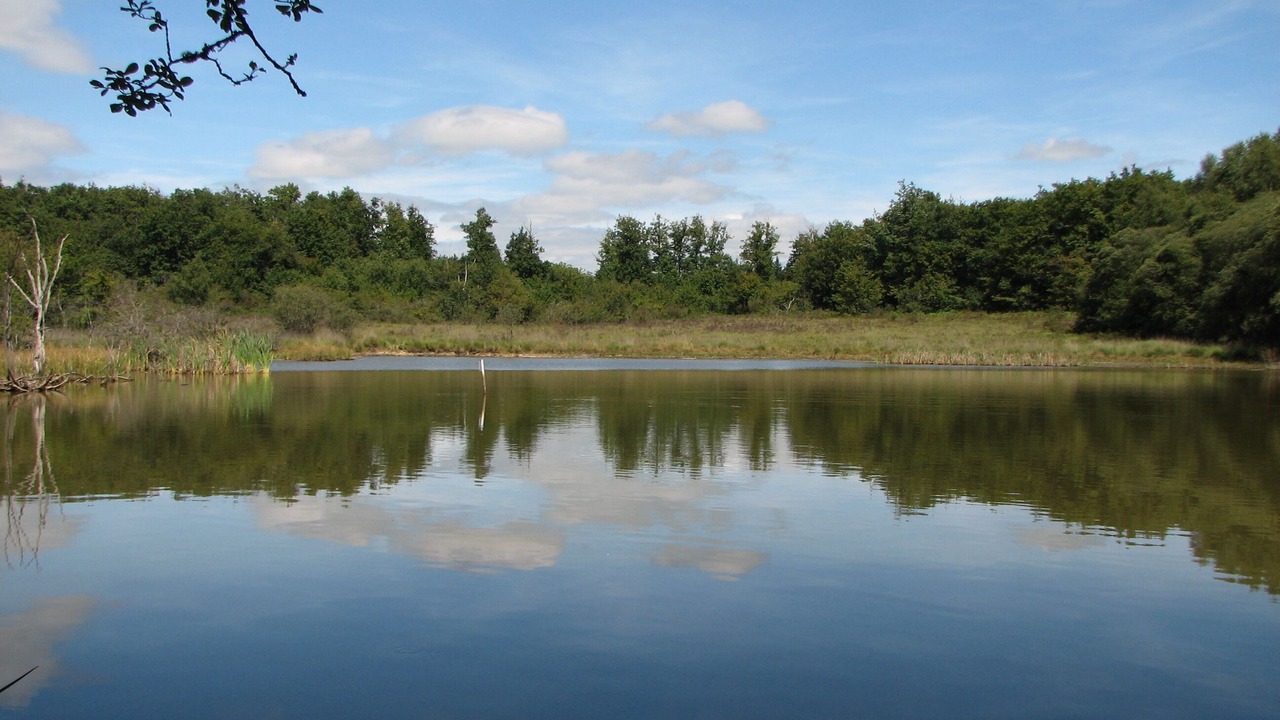 Photo of Outdoor in Pressignac