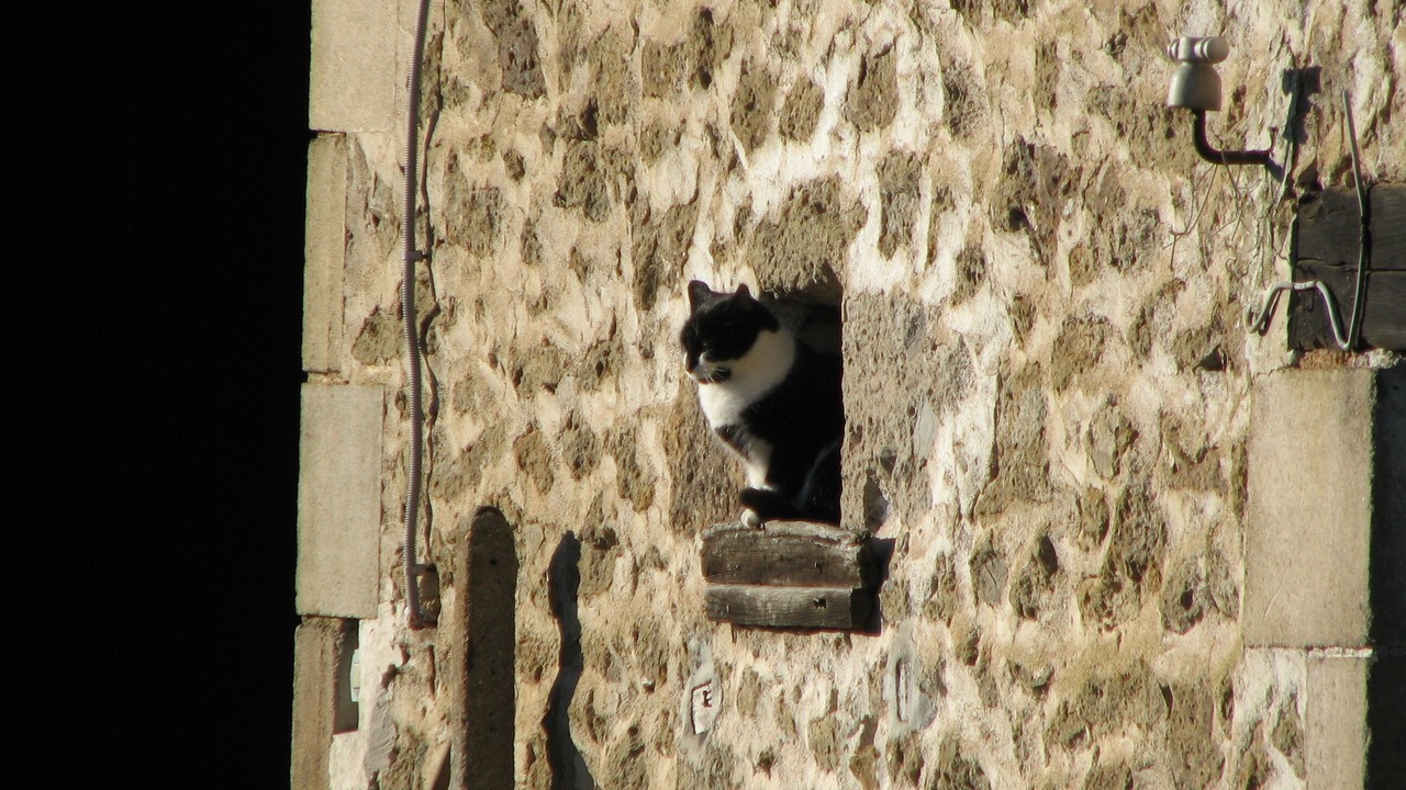 Photo of Others in Pressignac