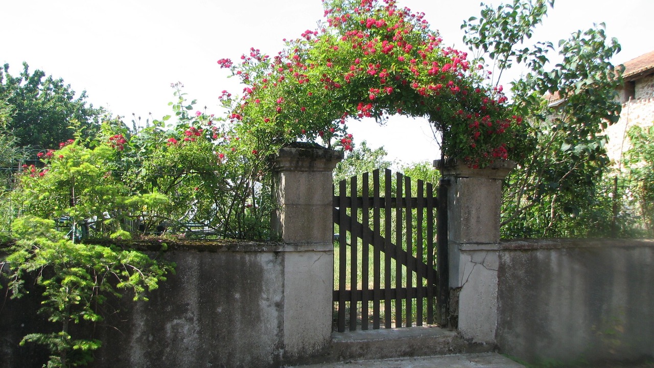Photo of Outdoor in Pressignac