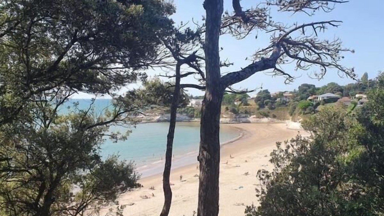 Photo of Others in Meschers-sur-Gironde