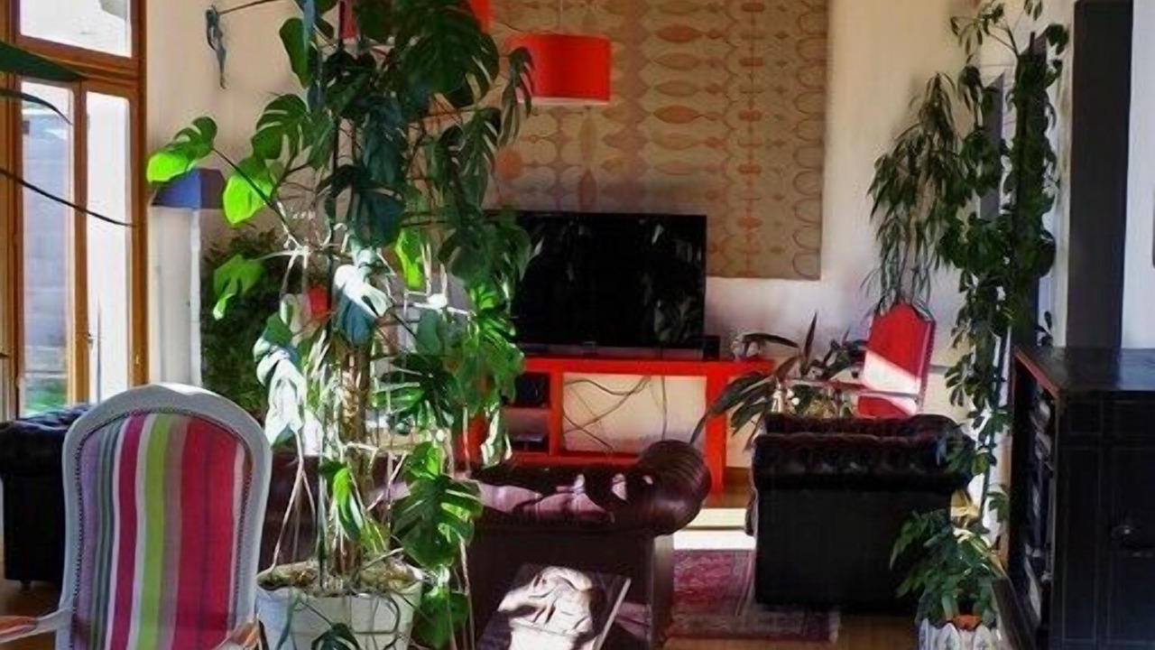Photo of Others in Clavette