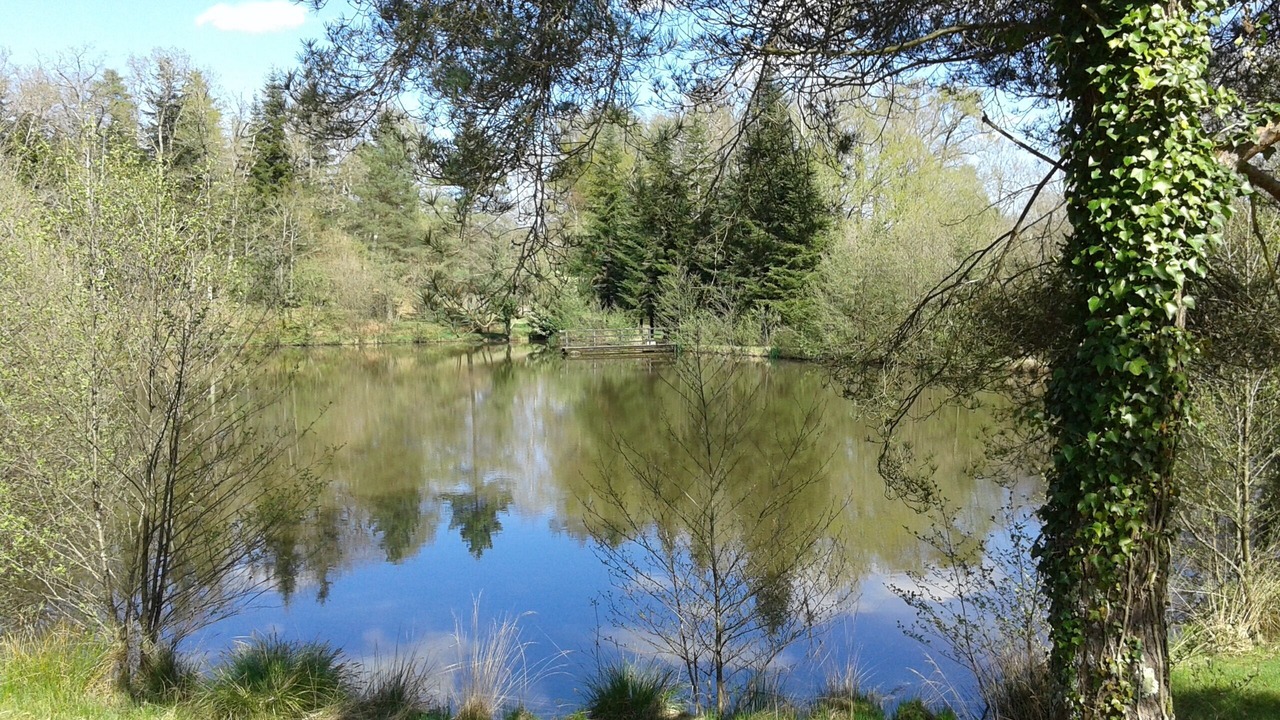 Photo of Outdoor in Chalais