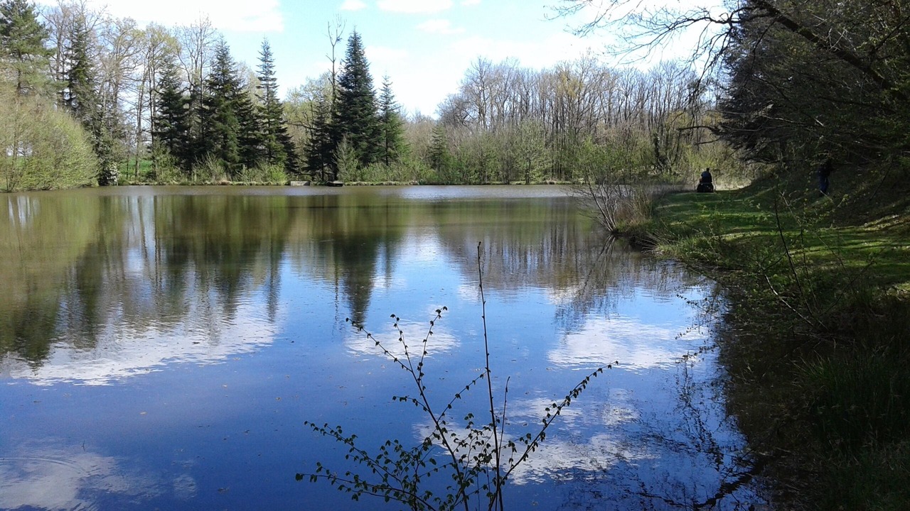 Photo of Outdoor in Chalais