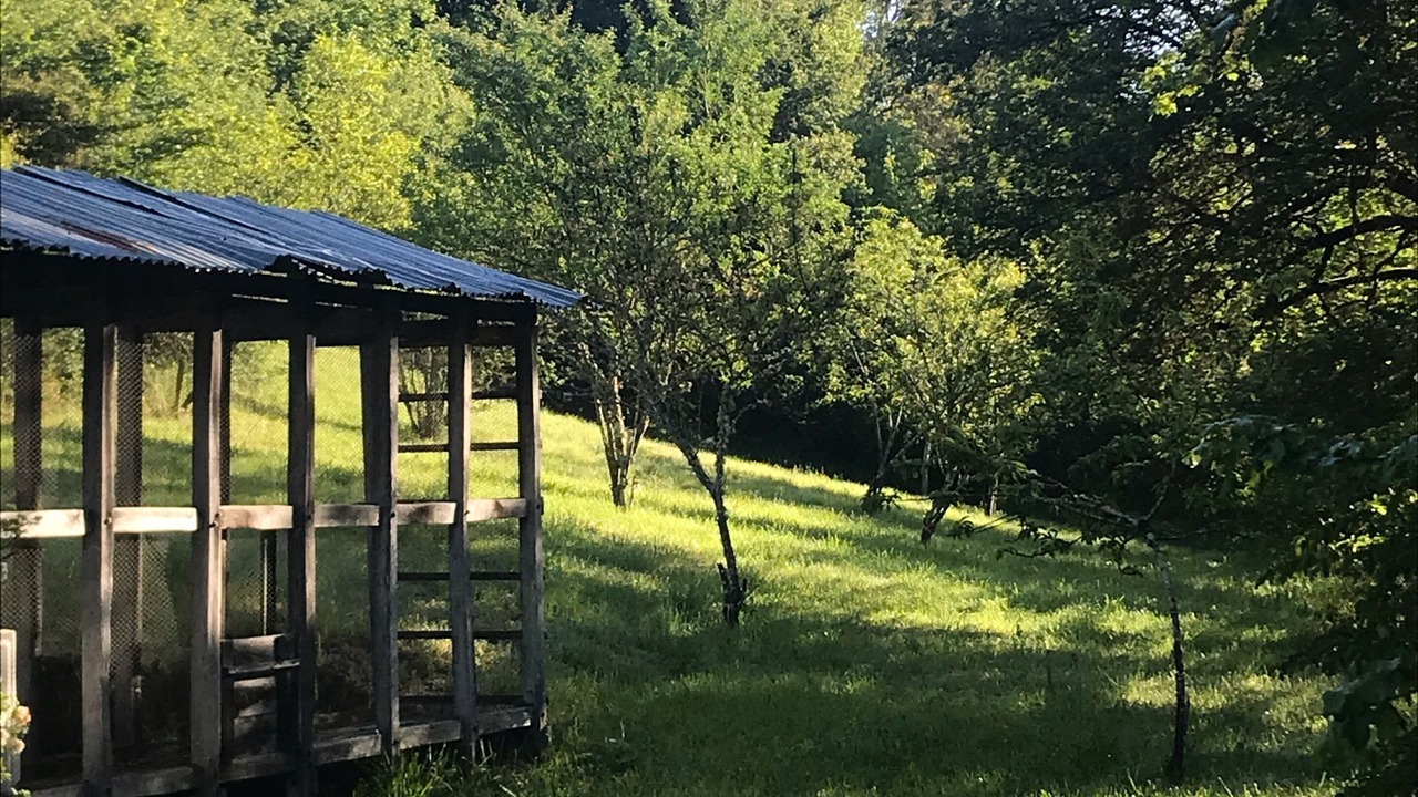 Photo of Outdoor in Saint-Aubin-de-Nabirat