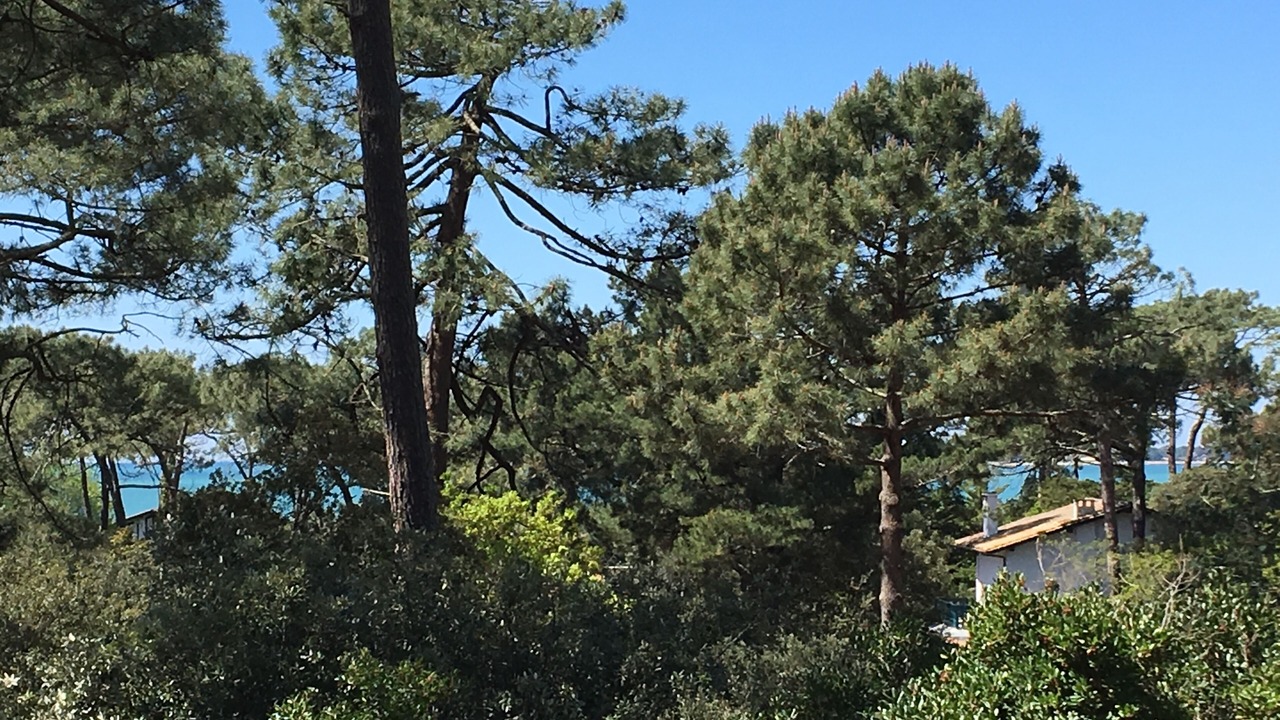 Photo of Outdoor in Pyla-sur-Mer