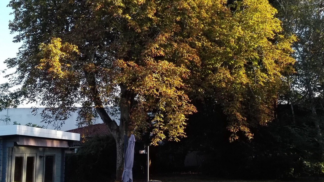 Photo of Outdoor in Pompignac