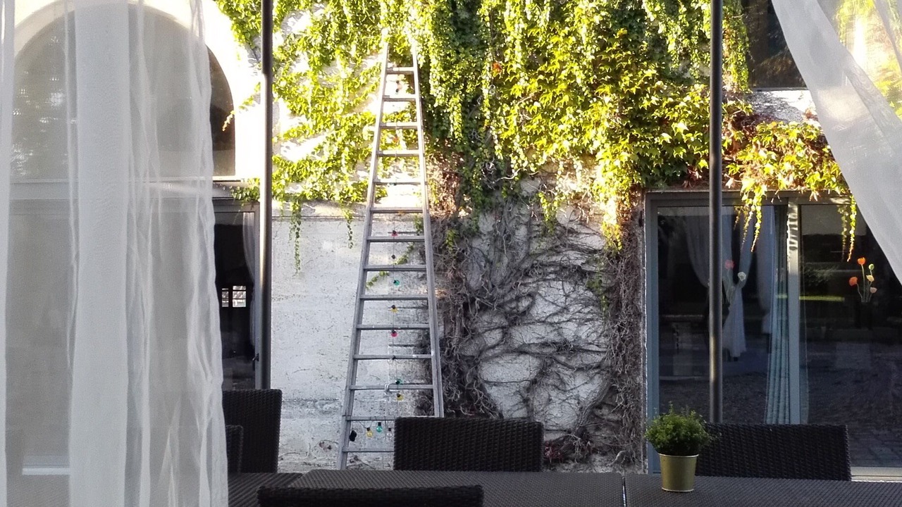Photo of Outdoor in Pompignac
