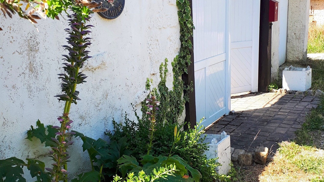 Photo of Outdoor in Rouffignac-Saint-Cernin-de-Reilhac