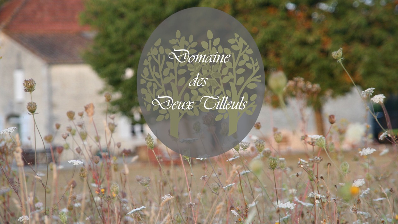 Photo of Outdoor in Saint-Georges-du-Bois