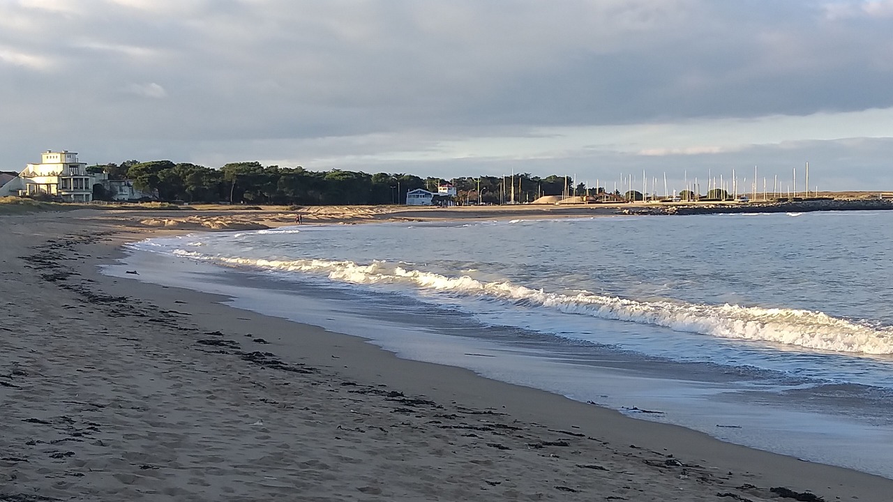 Photo of Others in Saint-Georges-d'Oleron