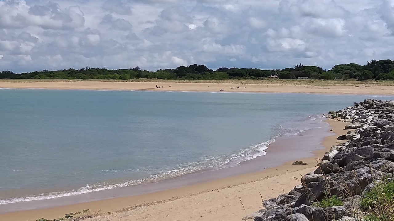 Photo of Others in Saint-Georges-d'Oleron