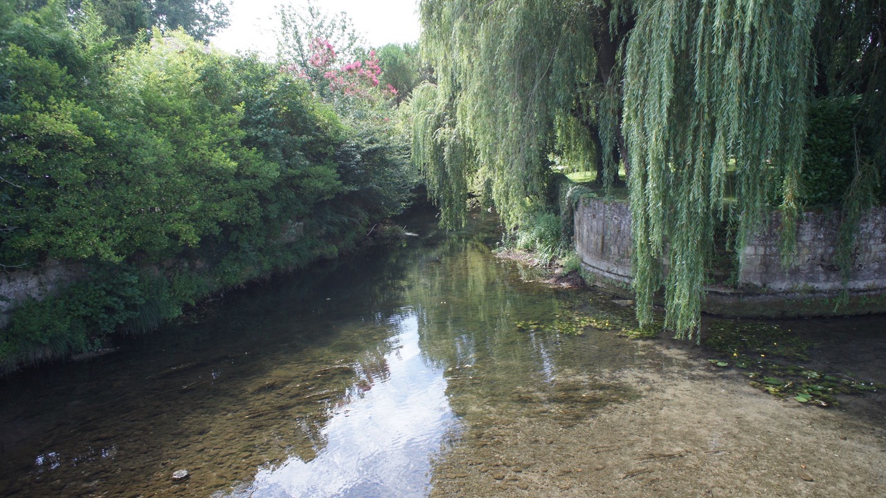 Photo of Others in Pons