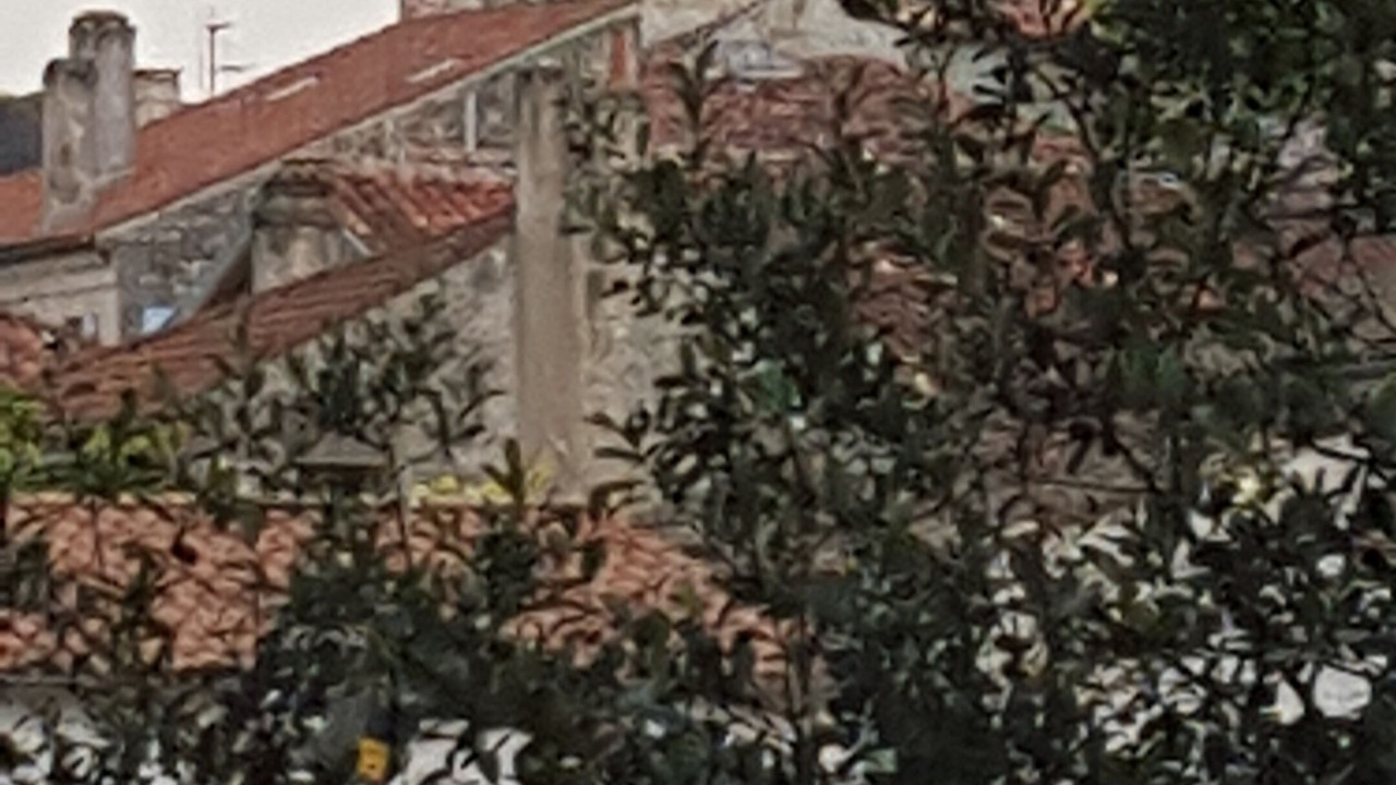 Photo of Others in Pons