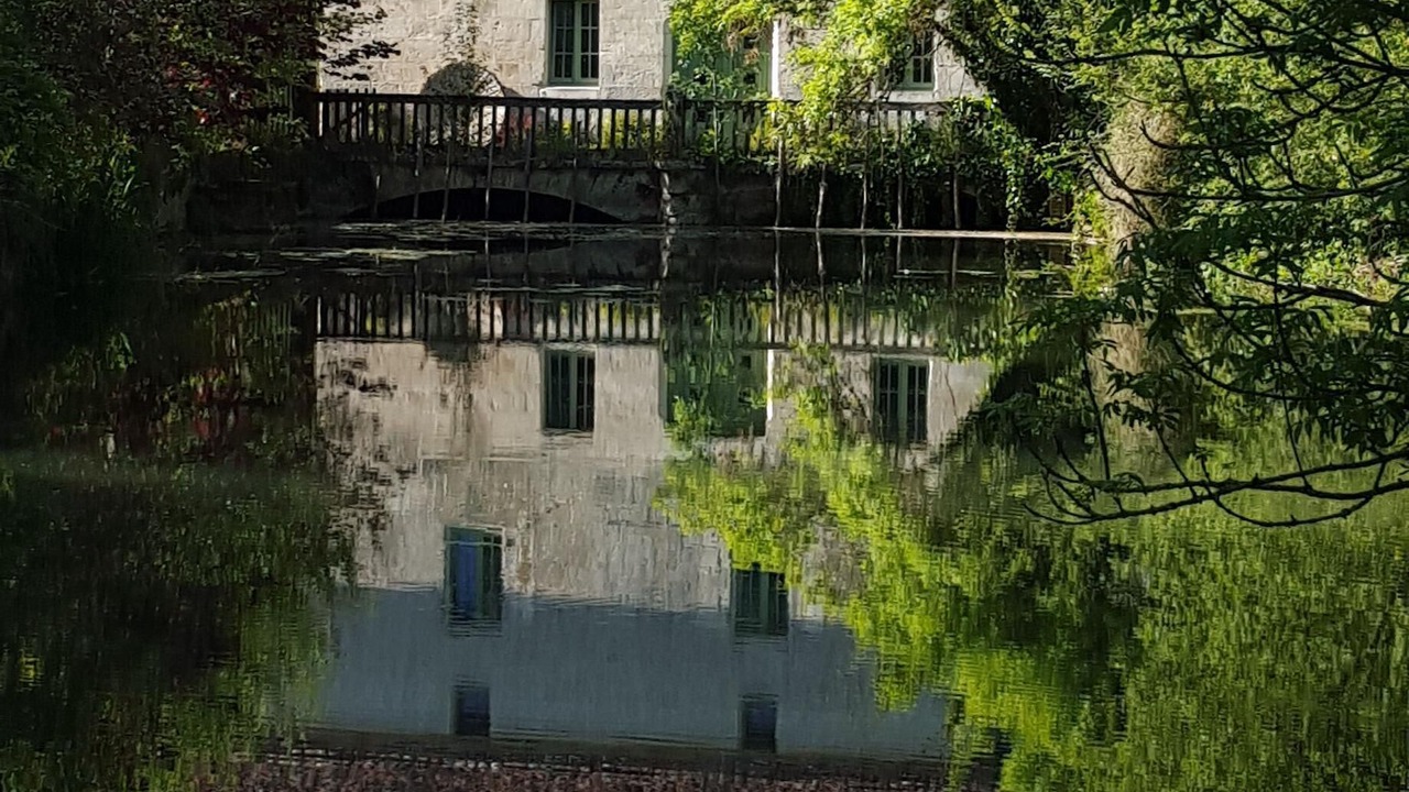 Photo of Others in Pons
