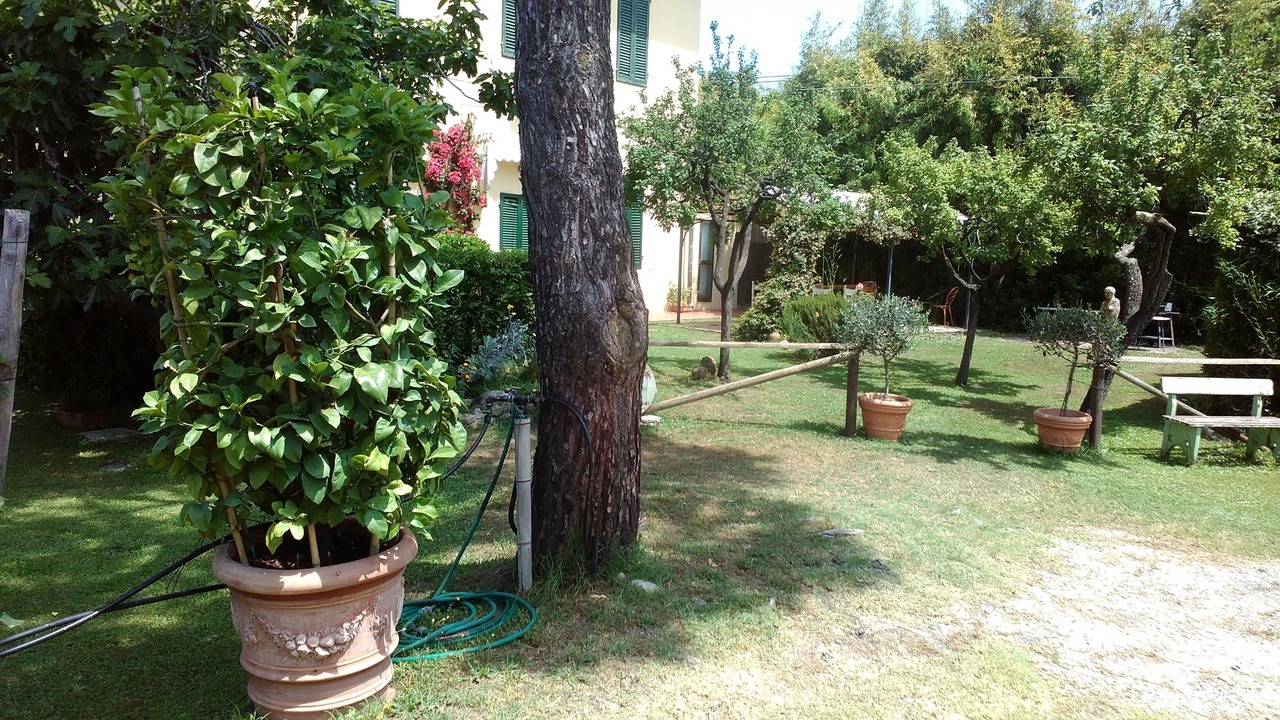 Photo of Outdoor in Torre del Lago Puccini