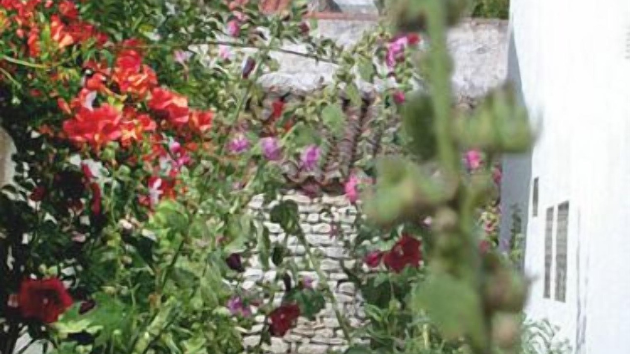Photo of Outdoor in Ars-en-Re