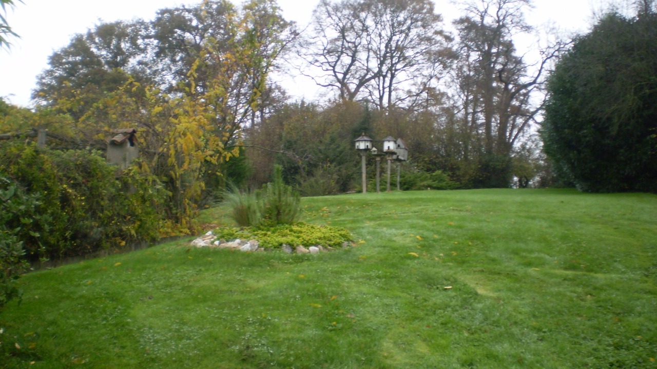 Photo of Outdoor in La Foret-sur-Sevre