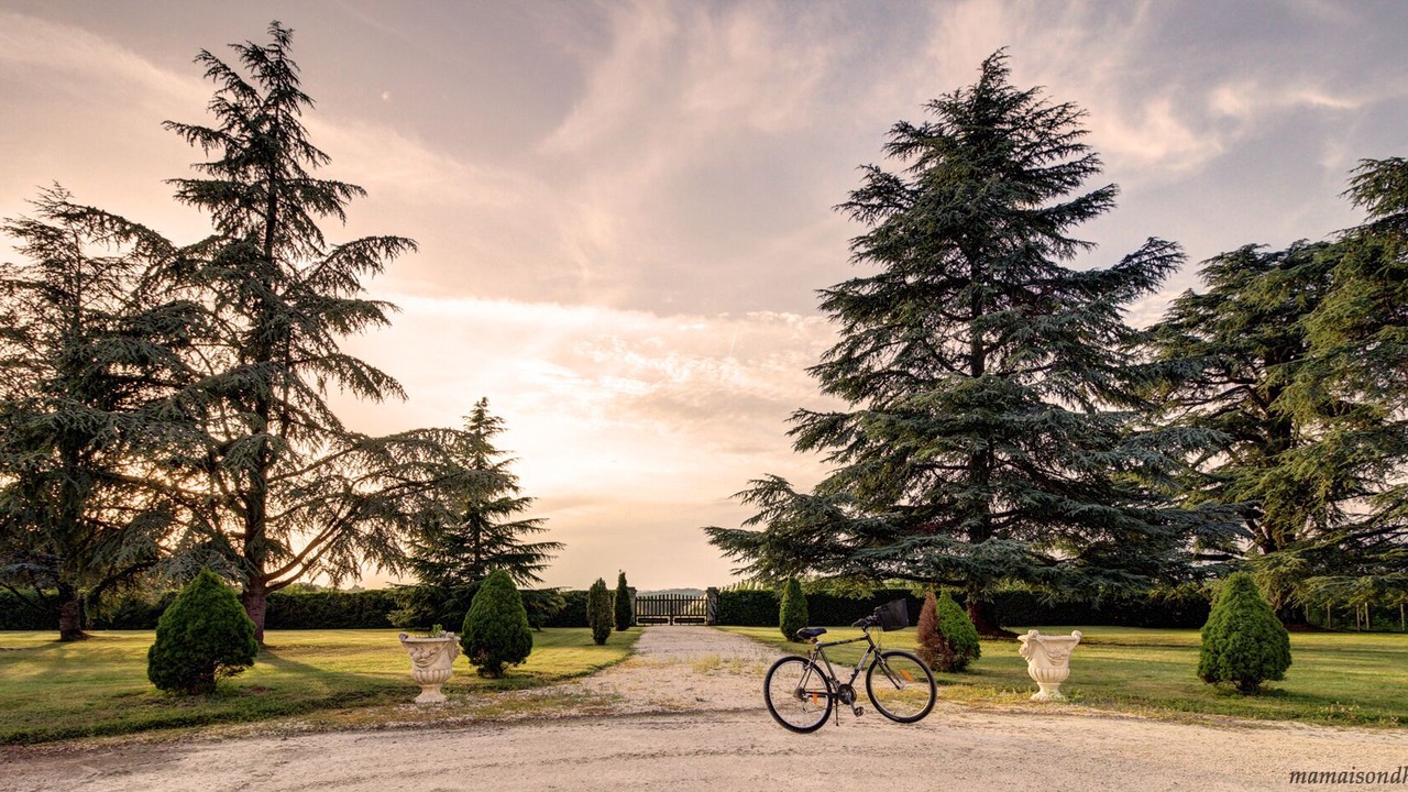 Photo of Outdoor in Sanilhac