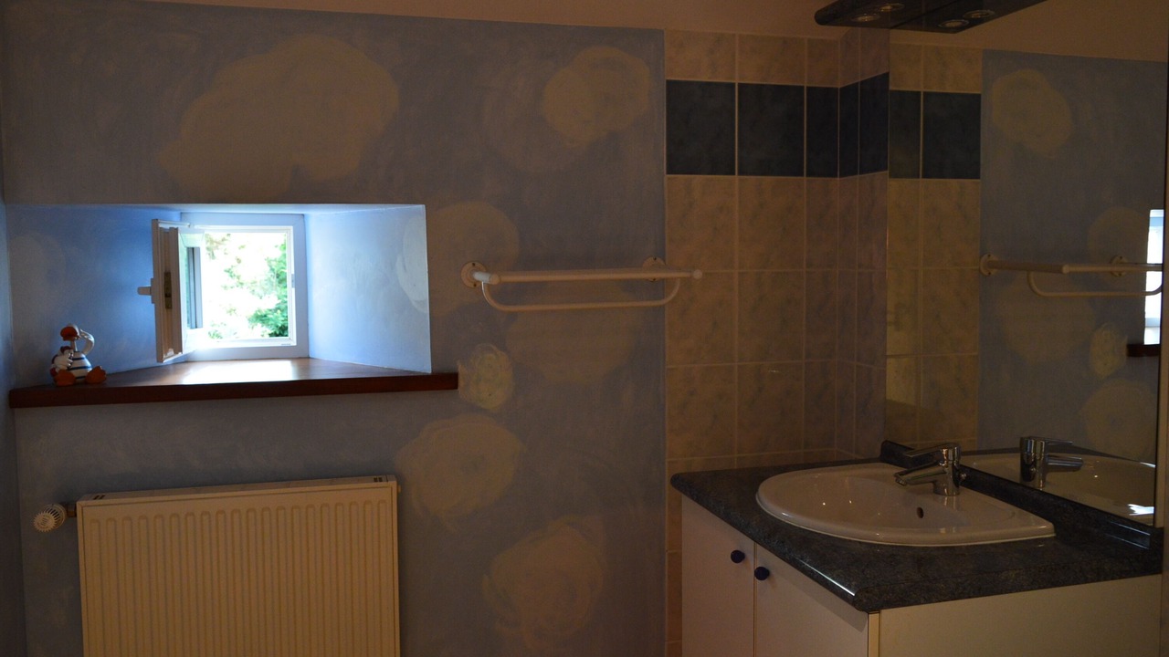 Photo of Bathroom in Savigne