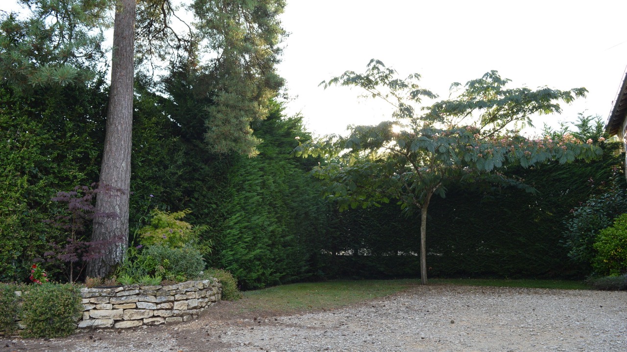 Photo of Outdoor in Savigne