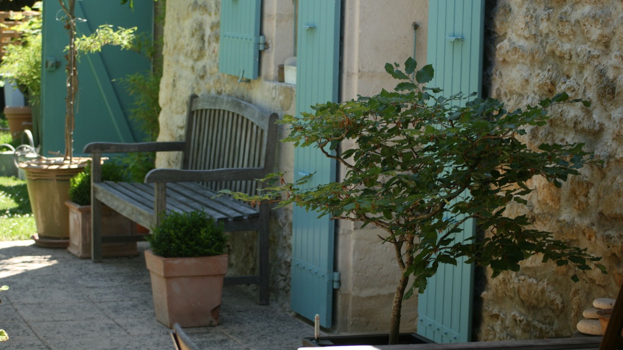 Photo of Outdoor in Thezac