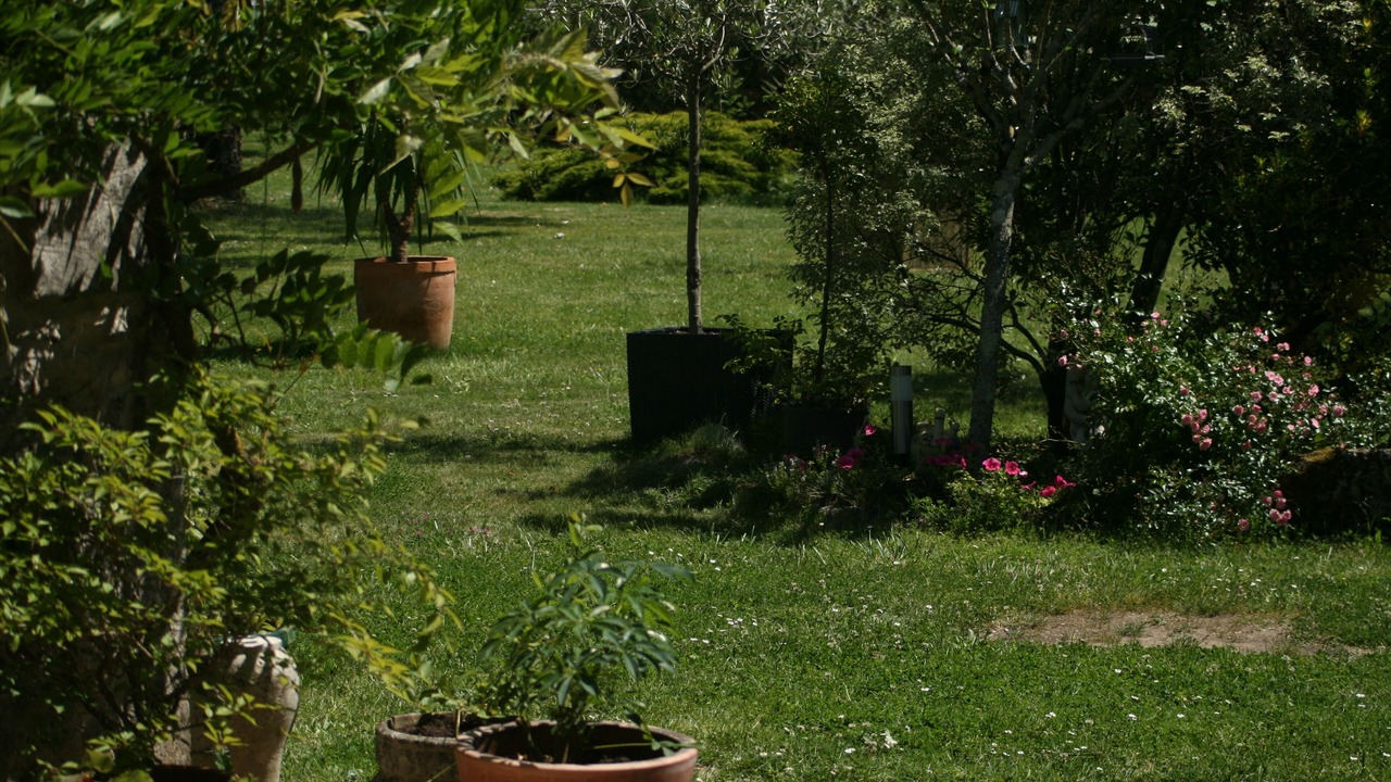Photo of Outdoor in Thezac