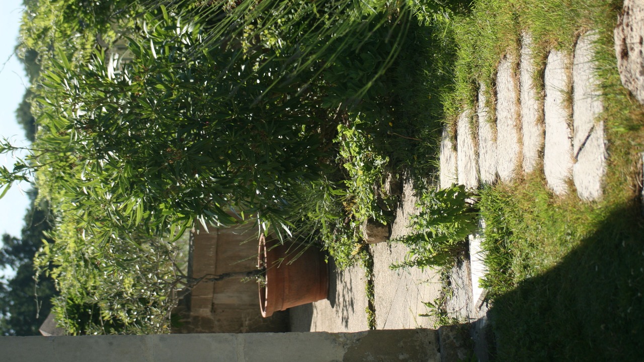 Photo of Others in Thezac