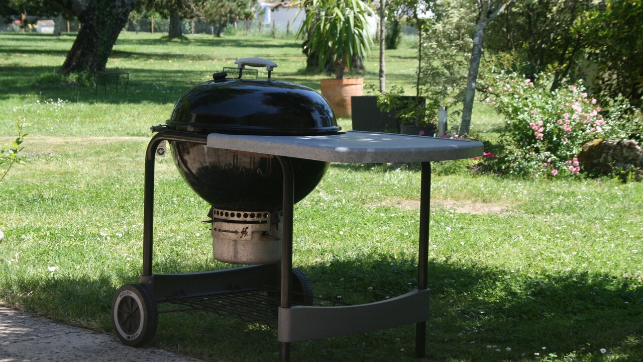 Photo of Outdoor in Thezac