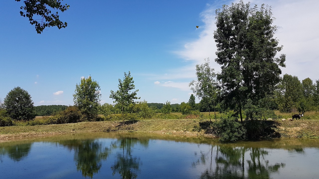 Photo of Others in Saint-Aulaye-Puymangou