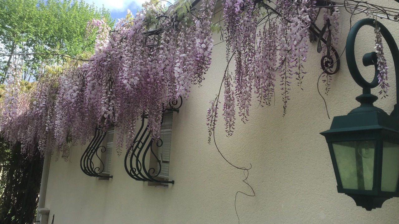 Photo of Outdoor in Saint-Paul-les-Dax
